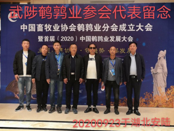 這一年，謝謝自己155